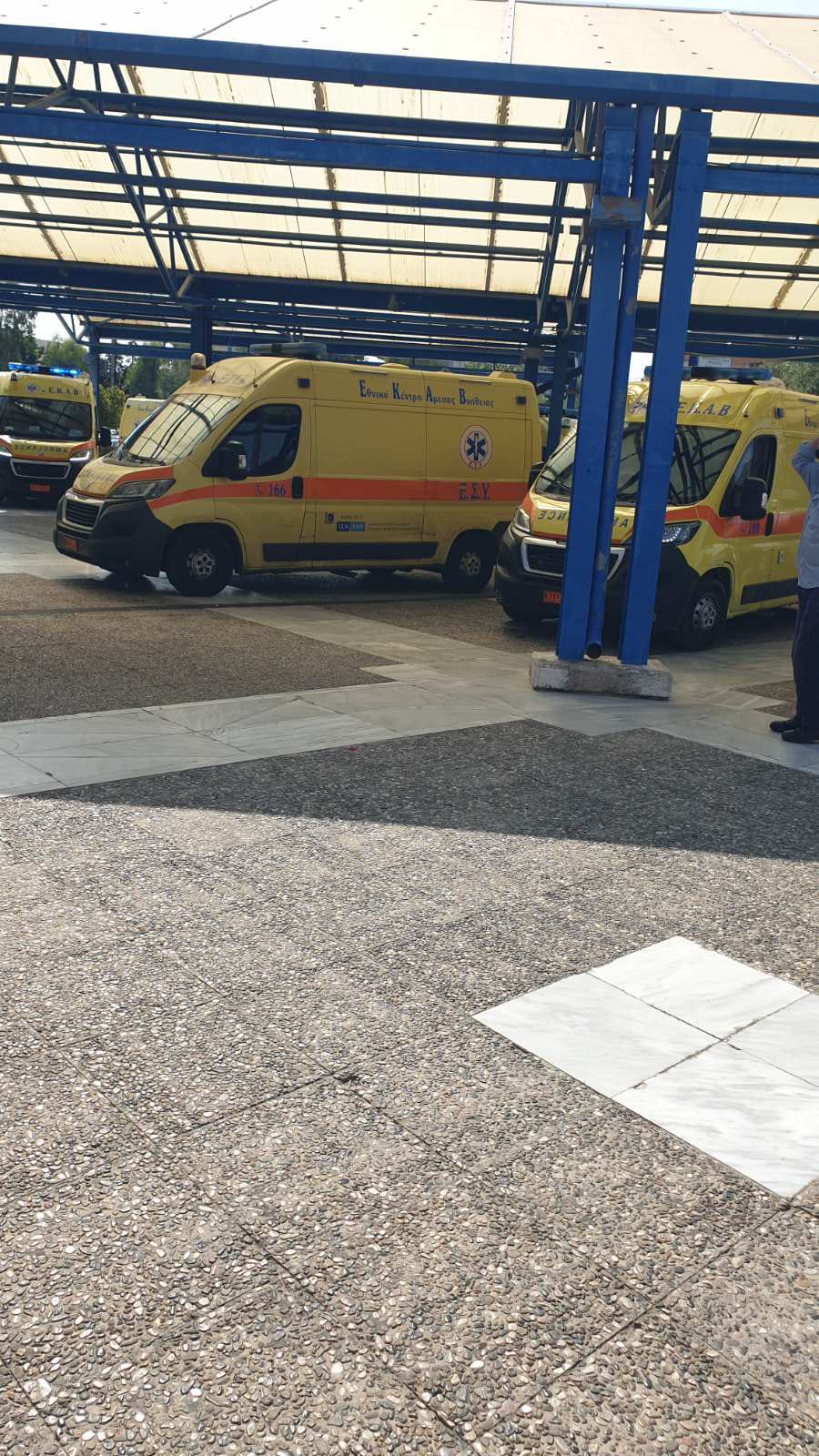 Imagen de WhatsApp 2024 08 28 a las 15.16.03 e9b2ab58