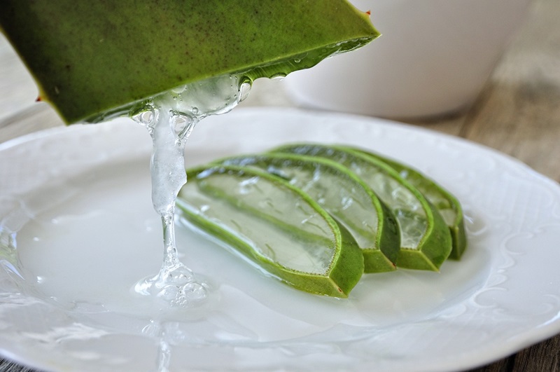 aloe 1