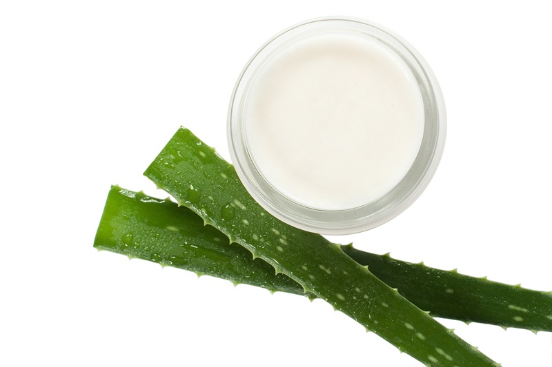 aloe 2