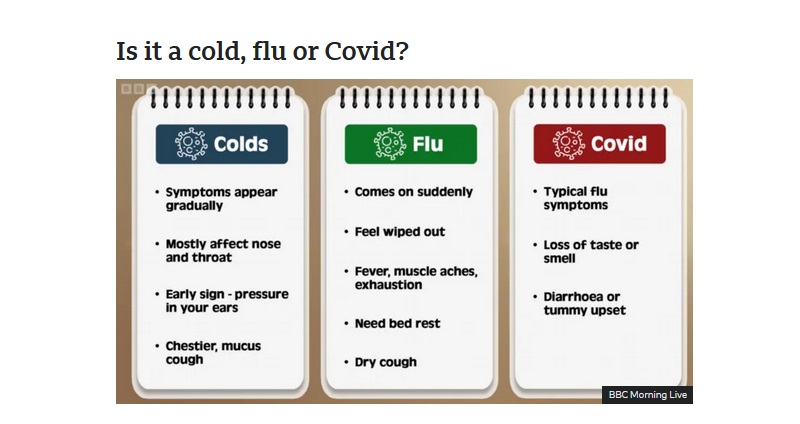 flu bbc