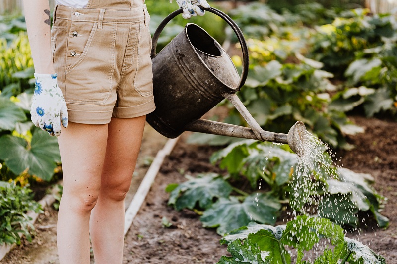 gardening 1