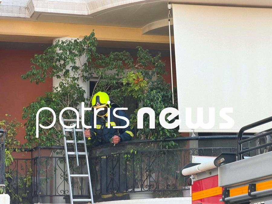 news patris