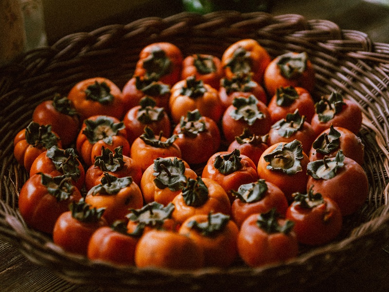 persimmons_health