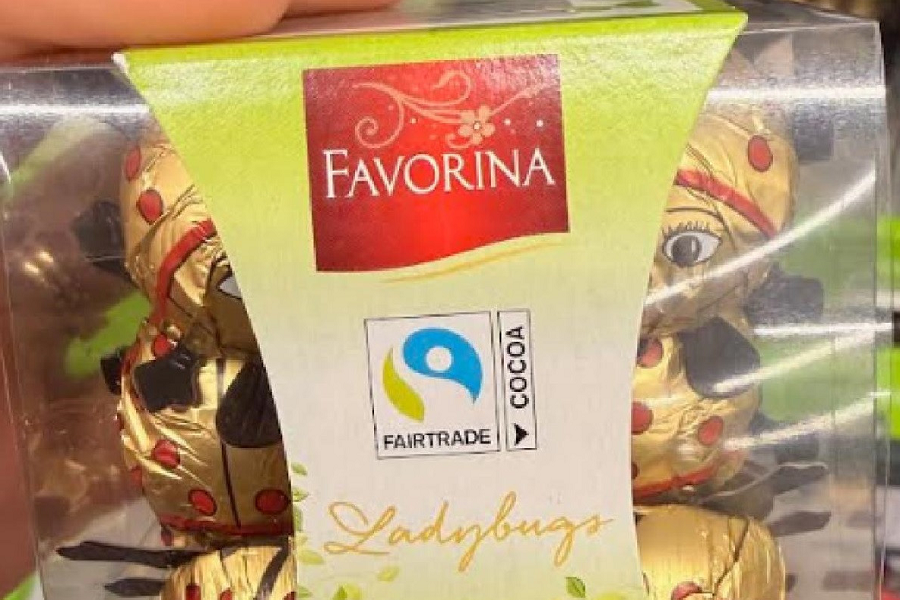 sokolatakia favorina anaklisi