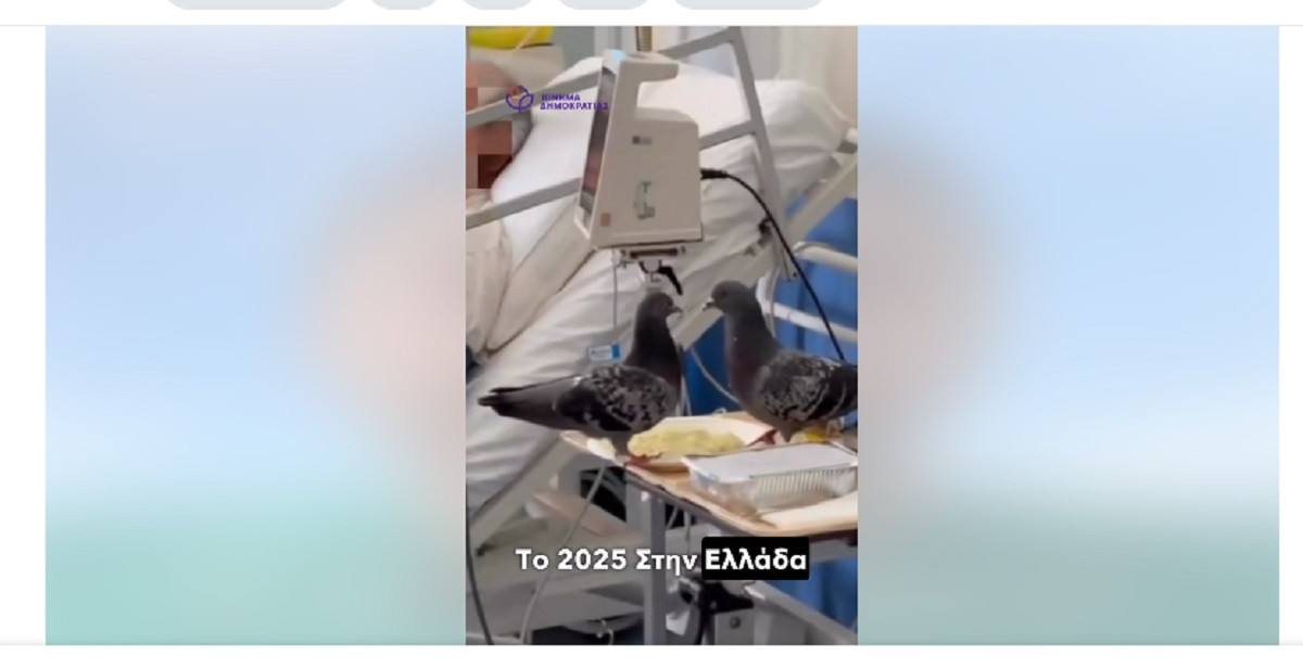 Καταγγελία: Περιστέρια τρώνε φαγητό ασθενούς σε δημόσιο νοσοκομείο (βίντεο)