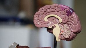 Μυστηριώδη σπειροειδή σήματα στον ανθρώπινο εγκέφαλο εντόπισαν επιστήμονες