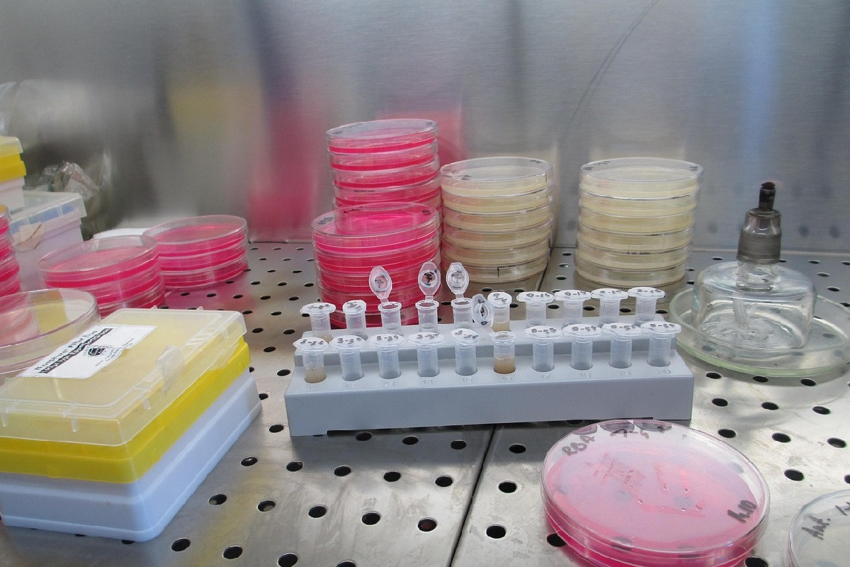 Γήρανση του πληθυσμού: Πώς συνδέεται με το ενδεχόμενο αύξησης λοιμώξεων του αίματος