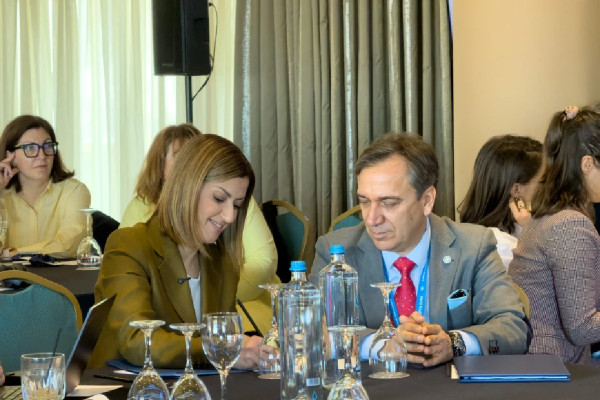 Αγαπηδάκη: Συνεργασία με τον ΠΟΥ για την αντιμετώπιση των προβλημάτων ψυχικής υγείας στους πολίτες