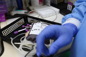 Ανακαλούνται εξεταστικά γάντια – Η ανακοίνωση του ΕΟΦ