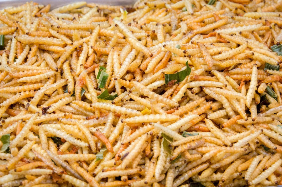 Δεν πείθονται οι καταναλωτές να τρώνε έντομα αντί για κρέας, λέει μελέτη