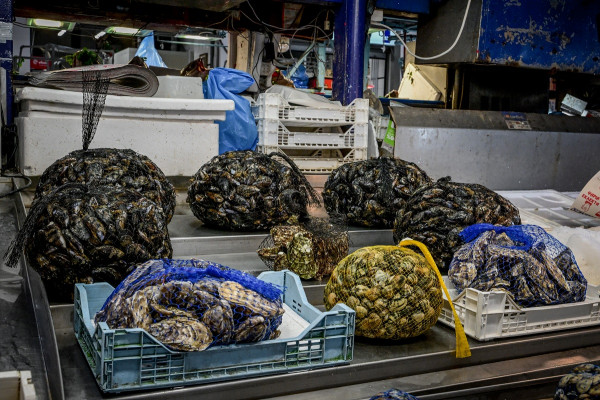 Καθαρά Δευτέρα: Πώς θα καθαρίσετε σωστά τα οστρακοειδή