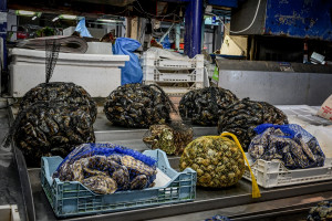 Καθαρά Δευτέρα: Πώς θα καθαρίσετε σωστά τα οστρακοειδή