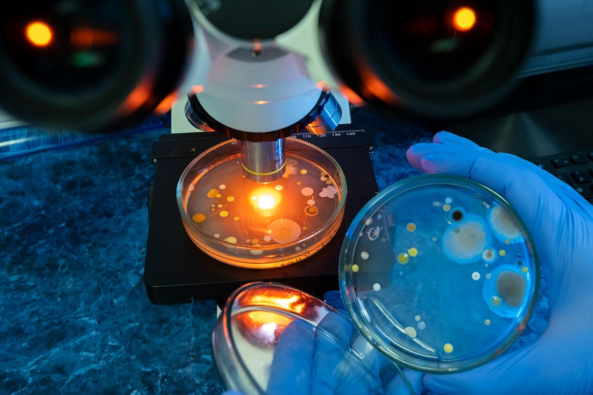 Το … μυστηριώδες άγνωστο βακτήριο που ανακάλυψε η NASA σε διαστημόπλοιο