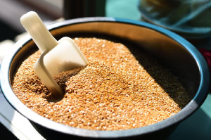 5 είδη σπόρων που βοηθούν στο «χτίσιμο» μυών