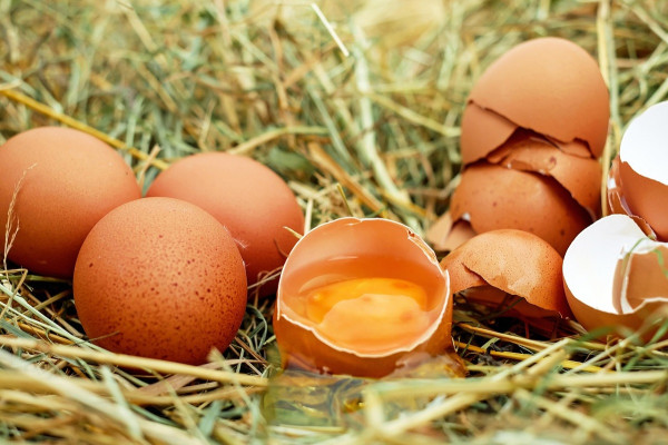Αυγά: Το superfood που χρειάζεστε για να βελτιώσετε τη μνήμη σας