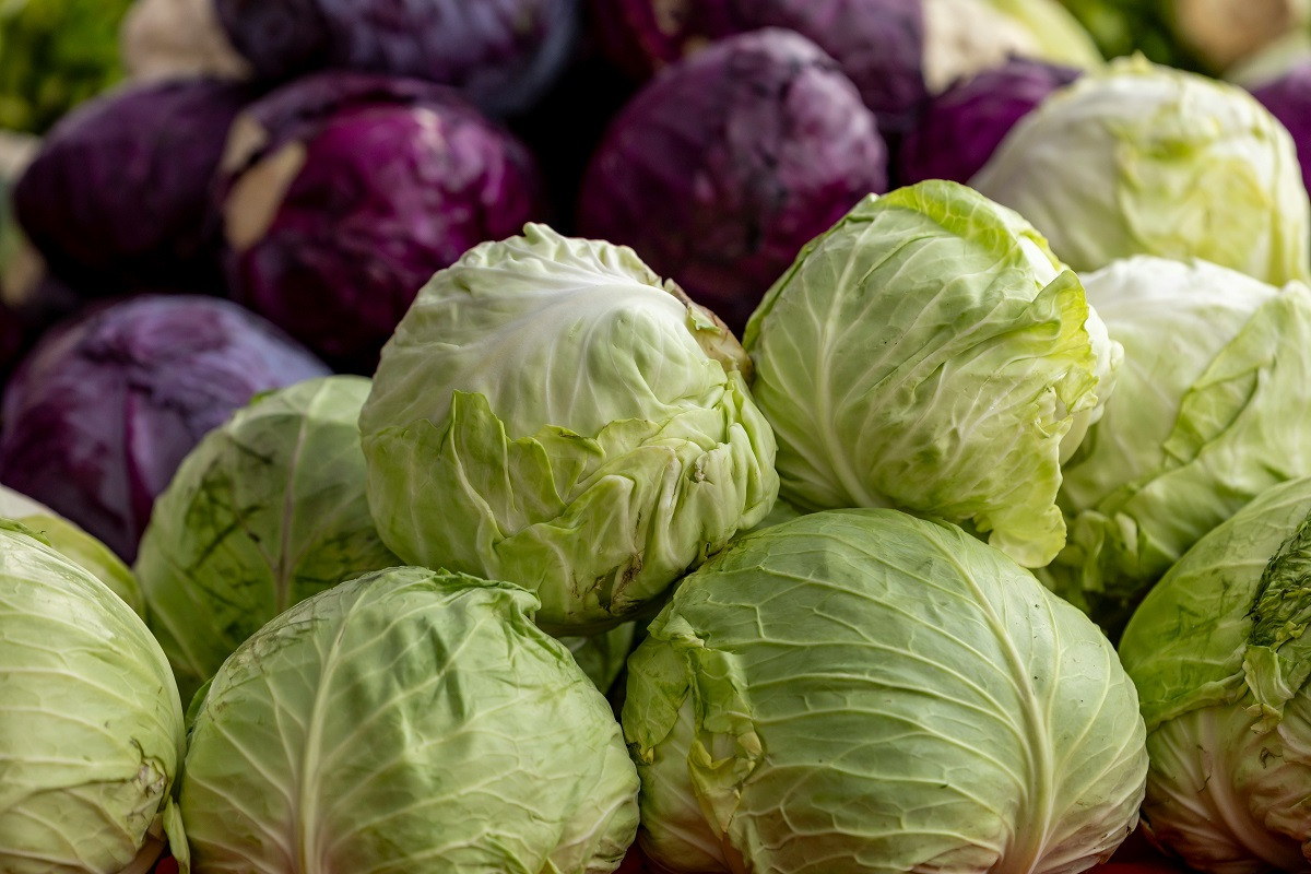 Άσπρο ή κόκκινο λάχανο; Ποιο προσφέρει μεγαλύτερα οφέλη στο έντερο