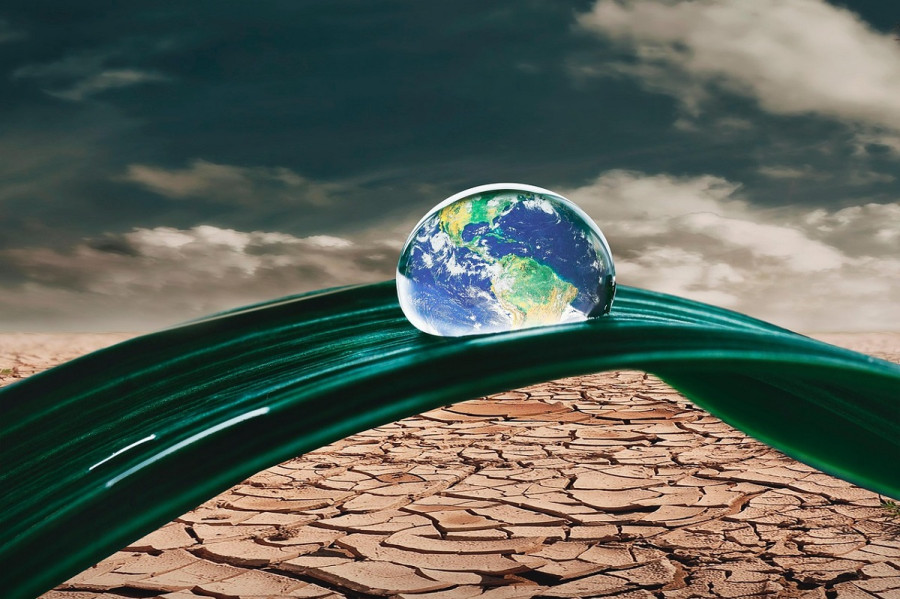 Κλιματική αλλαγή: Μελέτη διαπιστώνει ότι οι επιπτώσεις περνούν από γενιά σε γενιά