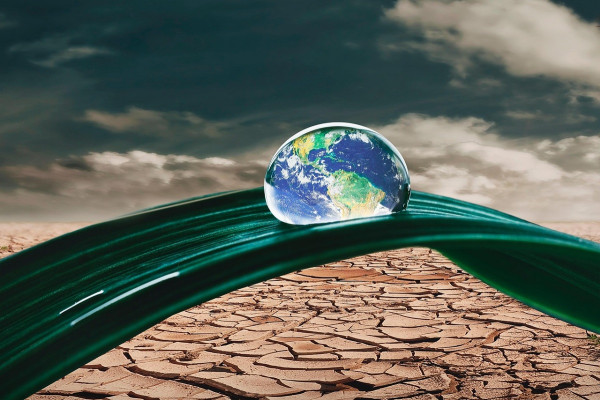 Κλιματική αλλαγή: Μελέτη διαπιστώνει ότι οι επιπτώσεις περνούν από γενιά σε γενιά