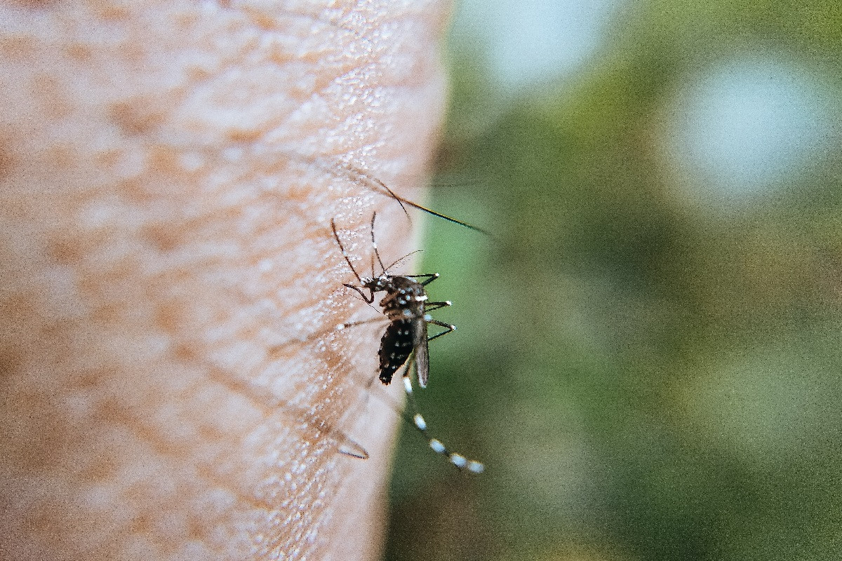 Γιατί με τσιμπάνε τα κουνούπια; Οι ειδικοί έχουν την εξήγηση