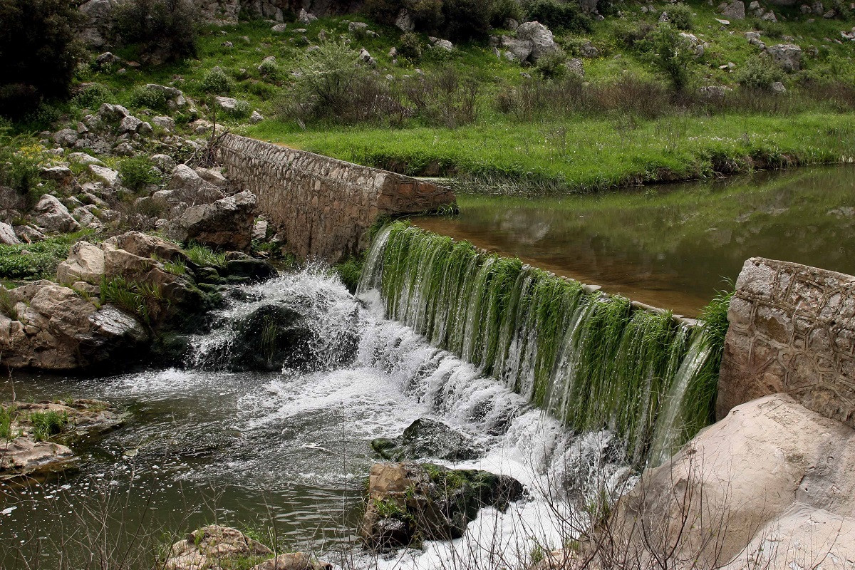 Συναγερμός στον Ασωπό ποταμό – Εντοπίστηκε βακτήριο που προκαλεί χολέρα