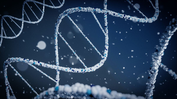 Eρευνητές εντοπίζουν διαφορές στους κινδύνους μετάλλαξης του DNA μεταξύ διαφορετικών ανθρώπων