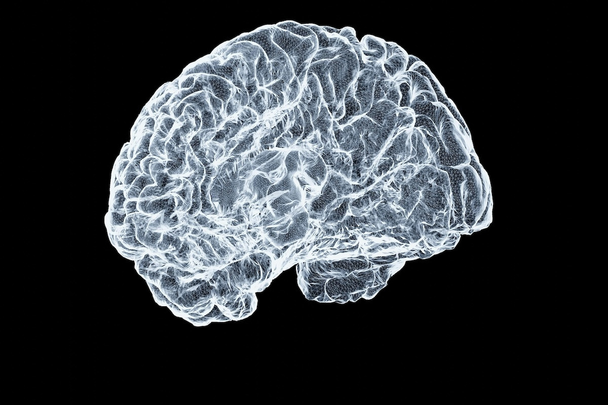 Νέα μελέτη: Η δίαιτα που προστατεύει τον εγκέφαλο από τη γήρανση