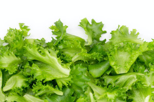 Μαρούλι: To λαχανικό που πηγαίνει με κάθε σαλάτα και προσφέρει μια σειρά από θρεπτικά στοιχεία