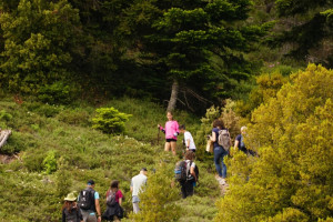 Όμιλος Επιχειρήσεων Σαρακάκη: Δράσεις wellness για τους εργαζόμενους