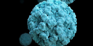 Ο ιός των ανθρώπινων θηλωμάτων προκαλεί καρκίνο και στους άνδρες