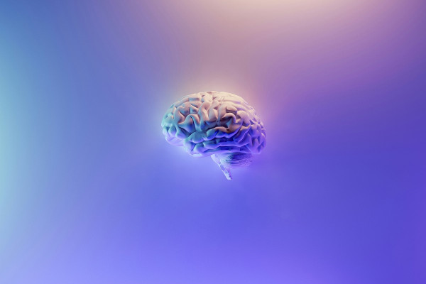 Οι 4 χειρότερες τροφές για την υγεία του εγκεφάλου σας