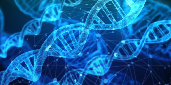 Τεχνητό DNA και πρωτεΐνες - Επανάσταση στην ανακάλυψη θεραπειών για σοβαρές ασθένειες