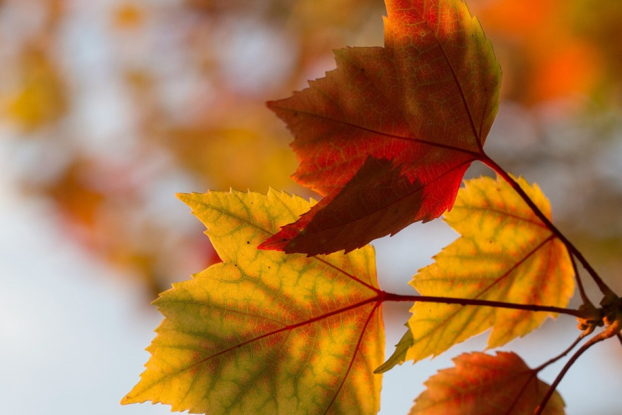 Οι 3 αλλαγές που θα δείτε στο σώμα σας το φθινόπωρο