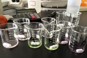 28η Φεβρουαρίου 2026: Ημέρα Σπανίων Παθήσεων