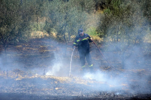 Φωτιά σε οικόπεδο δίπλα στο Σισμανόγλειο νοσοκομείο στο Μαρούσι