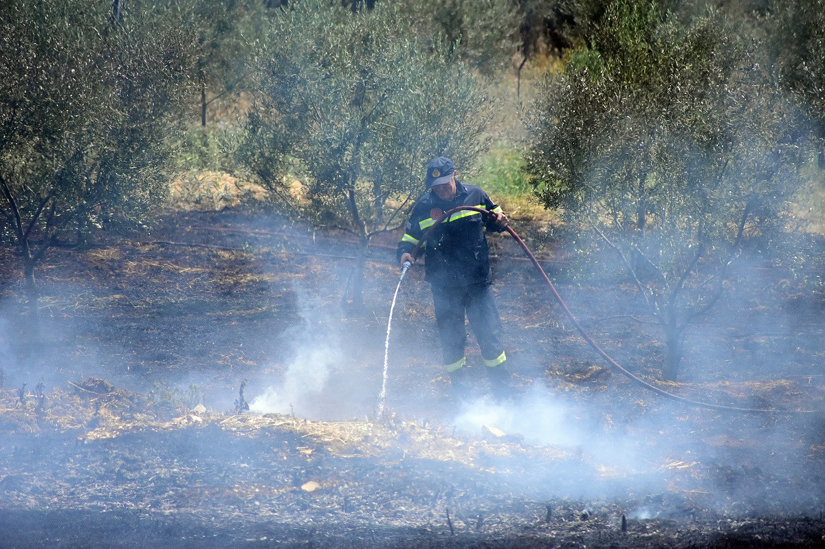 Φωτιά σε οικόπεδο δίπλα στο Σισμανόγλειο νοσοκομείο στο Μαρούσι