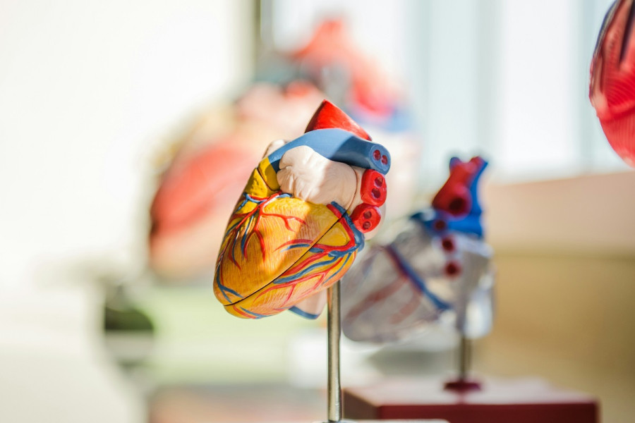 British Heart Foundation: Φάτε αυτό το φρούτο στις 11 το πρωί για μείωση της χοληστερίνης