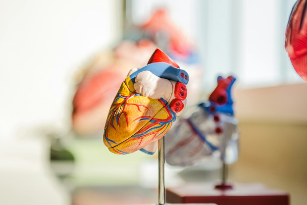 British Heart Foundation: Φάτε αυτό το φρούτο στις 11 το πρωί για μείωση της χοληστερίνης