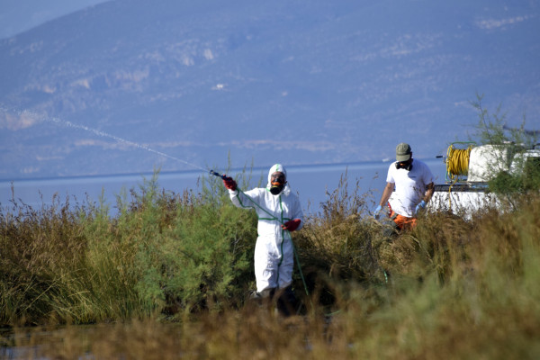 ΕΟΔΥ - Ιός Δυτικού Νείλου: 19 θάνατοι και 232 κρούσματα
