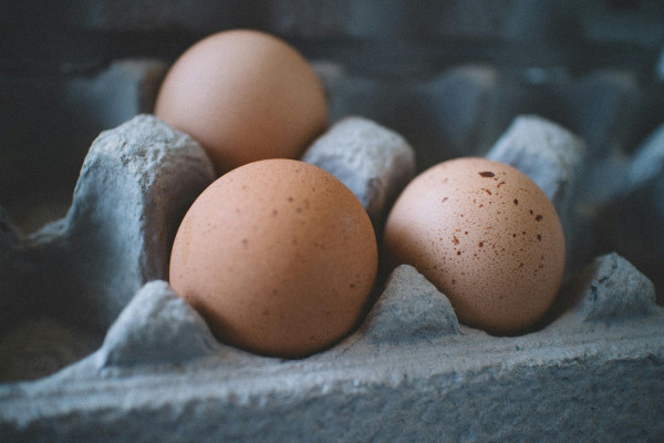 ΗΠΑ: Μονάδα παραγωγής αυγών έκλεισε προσωρινά μετά την ανίχνευση γρίπης των πτηνών
