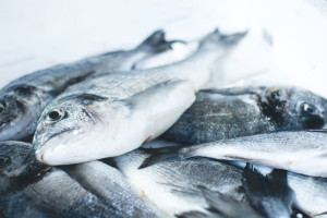 Διαιτολόγος: 5 τρόφιμα που είναι καλύτερο να αγοράσετε κατεψυγμένα - Ανάμεσά τους το ψάρι