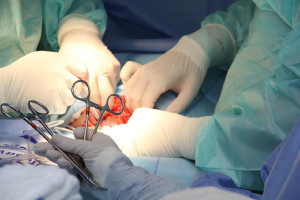 ΕΟΜ: Νέο ρεκόρ μεταμοσχεύσεων από αποβιώσαντες δότες στη χώρα μας