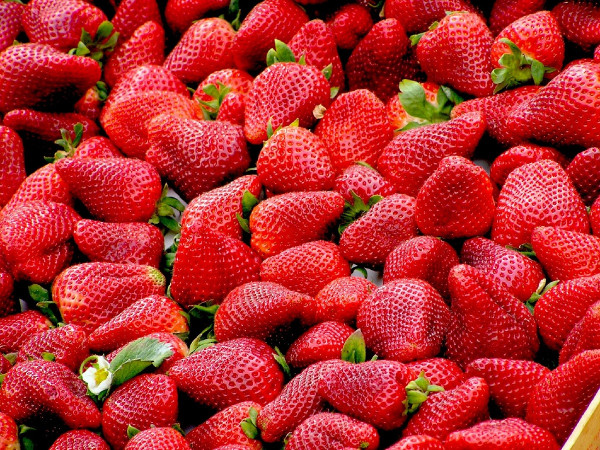Φράουλες: Το «μυστικό» που τις κάνει απαραίτητες στη διατροφή μας