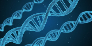 Ελληνικός Χάρτης Σπανίων Παθήσεων: Τι είναι και τι προσφέρει