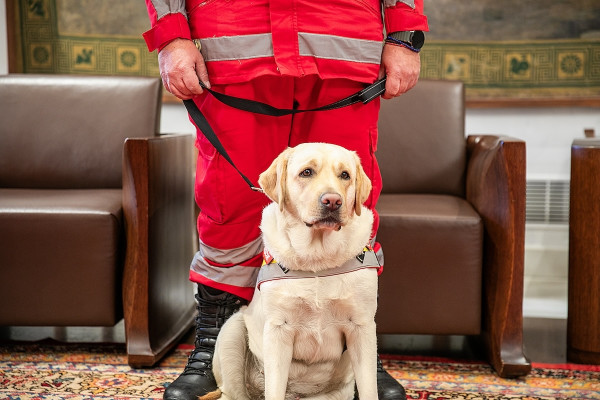 Ο Ελληνικός Ερυθρός Σταυρός ενισχύθηκε με 2 σκυλιά - διασώστες από την Βουλή των Ελλήνων