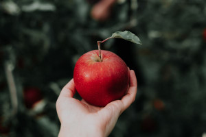Μήλο: 8 λόγοι που να το εντάξουμε στη διατροφή μας