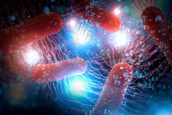 Escherichia coli: Τα βακτήρια με πανίσχυρη μνήμη και χωρίς εγκέφαλο