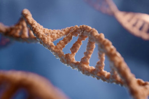 Επιστήμονες ανακάλυψαν το πρώτο γονίδιο που προκαλεί άμεσα ψυχική ασθένεια - Πώς ένα συμπλήρωμα δίνει ελπίδες για θεραπεία