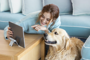 Τι σκέφτεται ο σκύλος σας όταν βλέπει τηλεόραση – Οι ταινίες που προτιμά