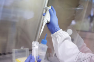 Βραζιλία: Η χώρα επιβεβαίωσε την πρώτη έξαρση της γρίπης των πτηνών σε φάρμα
