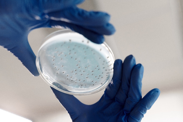 SOS από τους επιστήμονες: Ποιο είδος τοξικών βακτηρίων αναμένεται να διπλασιαστεί τα επόμενα χρόνια